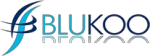 blukoo.com