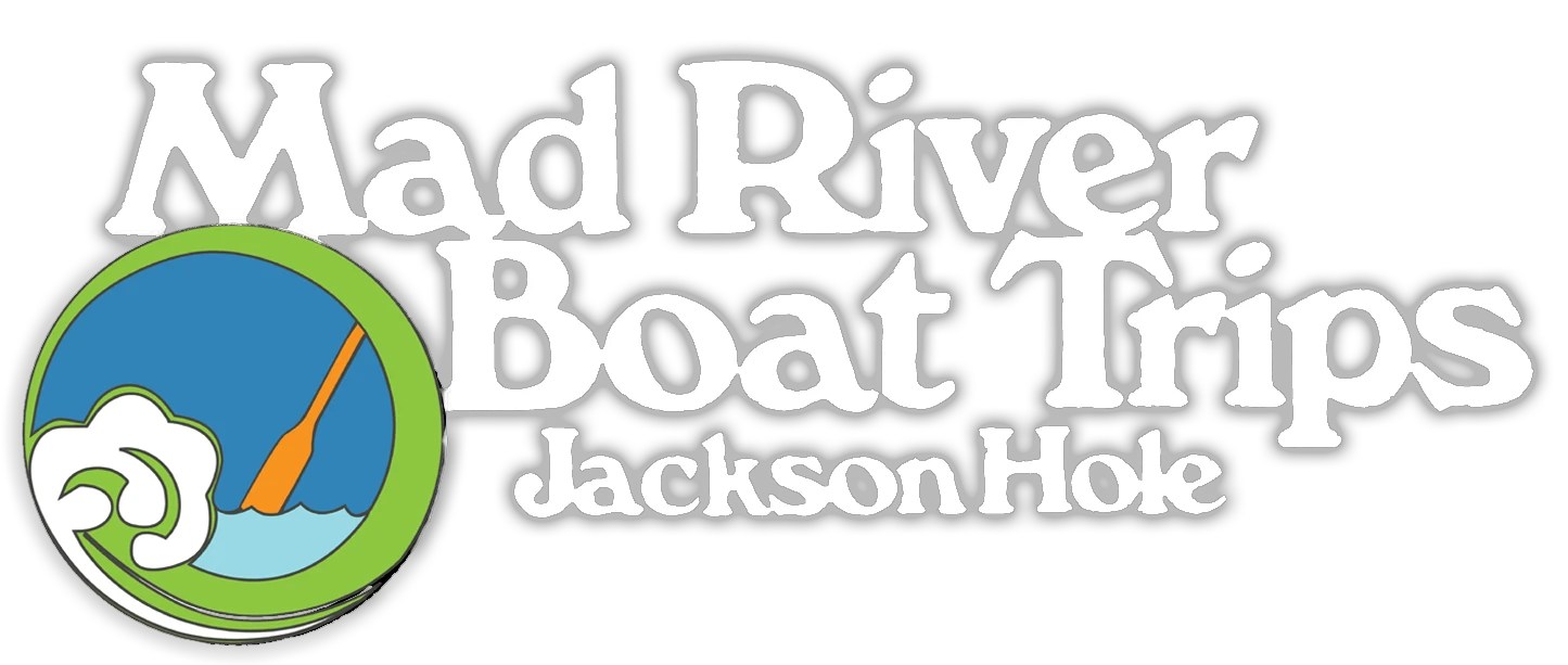 Mad River Coupon