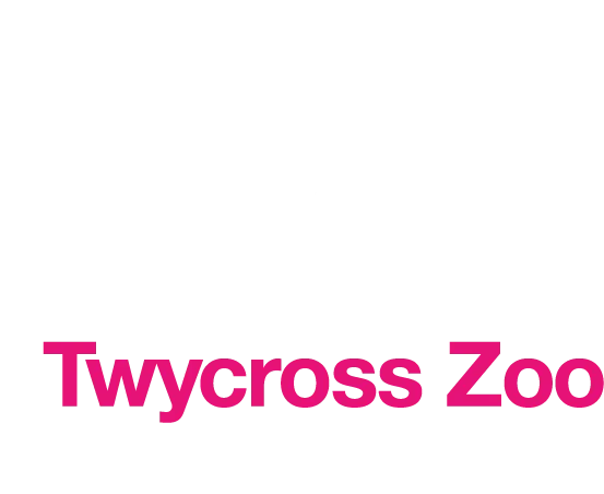 twycrosszoo.org