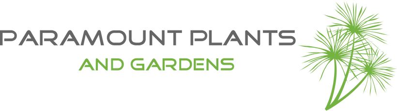  Paramount Plants Coupon