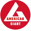  American Giant Coupon