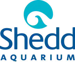  Shedd Aquarium Coupon