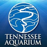  Tennessee Aquarium Coupon